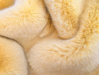 XD0012-Tender Golden Fox